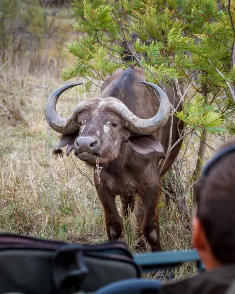 © The Guys - Professional Photographers & Designers - www.theguys.co.za